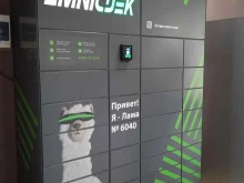 постамат OmniCDEK в Иваново