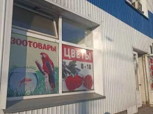 Зоотовары Отдел зоотоваров в Абакане