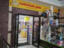 магазины хозяйственных товаров и бытовой химии Копейкин Дом в Ставрополе