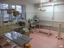 ветеринарная клиника Айболит в Улан-Удэ