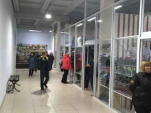 магазин низких цен Светофор в Киселевске