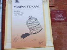 центр театрального творчества им. И.В. Селиванова Ровесник в Курске