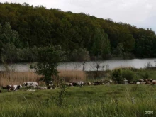 база отдыха Мелихово в Белгороде