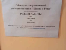 Общественные организации Шипы и розы в Краснодаре