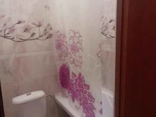 хостел Клевер в Красноярске