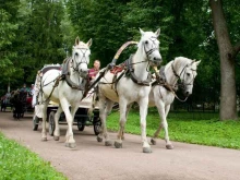 конноспортивный клуб Ковбой в Санкт-Петербурге