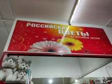 магазин цветов Анаис в Подольске