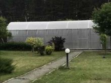 Фаворит, Свердловский тракт, 1г 