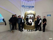 центр развития детей Репетиторский центр 203 в Якутске