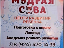 центр развития ребенка Мудрая Сова в Чите
