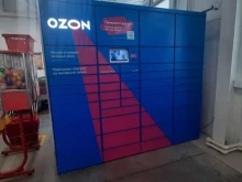 автоматизированный пункт выдачи OZON box в Альметьевске