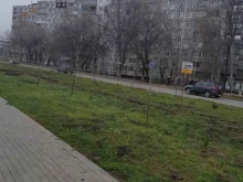 студия ландшафтного дизайна Экогрин Самара в Самаре