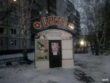 Гортензия в Новоалтайске