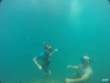 дайвинг-центр Black Sea Diving College в Сочи