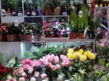 магазин цветов Flowers for you в Находке