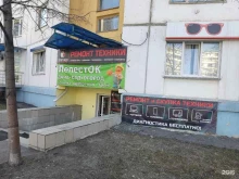 Ремонт / установка бытовой техники iTservice в Челябинске