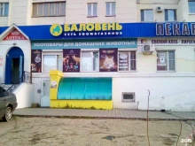 зоомагазин Баловень в Чебоксарах