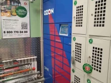 автоматизированный пункт выдачи OZON Box в Казани