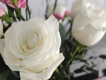 сеть салонов zlatflowers в Златоусте