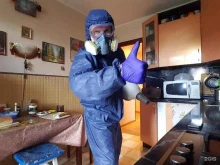 компания по уничтожению насекомых Профдезсервис в Комсомольске-на-Амуре