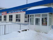 автосервис Сирена в Новомосковске