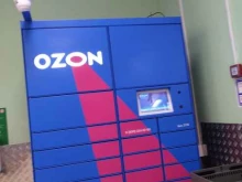 автоматизированный пункт выдачи Ozon box в Троицке