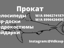 компания по прокату велосипедов, сап бордов и гидрокостюмов Vdksup в Владивостоке