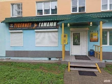 оператор кабельного телевидения Гамаюн в Кандалакше