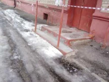 зооателье Четыре лапки в Тамбове