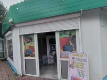 Солнцезащитные очки Магазин сумок в Балтийске