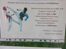 профессионально-спортивный клуб тхэквондо Торнадо в Тольятти