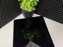 Pro_LCD_Lab, улица Колонцова, 5 