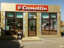 салон цветов Camellia в Ленинске-Кузнецком