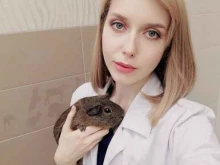 ветеринарная клиника ДокторВет в Казани