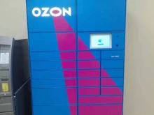 постамат №4001 Ozon box в Мурманске