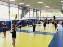 центр художественной гимнастики для детей Синица в Москве