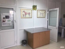 ветеринарный центр Кот и пес в Боре