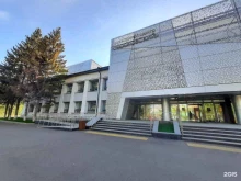 клуб английского языка для детей Кот Лимон в Казани