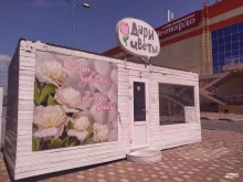 салон Дари Цветы в Волгограде