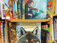 книжный магазин Бисер в Барнауле