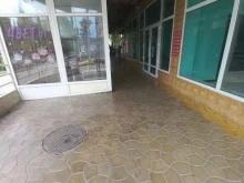 бар разливных напитков Чешское пиво в Сочи