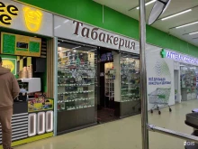 Табакерия, Международная улица, 6 