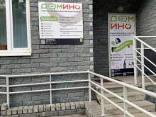 студия иностранных языков и творческого развития Домино в Нижнем Новгороде