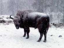 туристическая фирма Гид Сибирь в Новосибирске