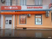 магазин товаров для животных Мой зверь в Перми
