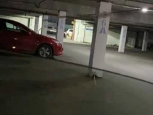 автостоянка Спс паркинг в Сургуте