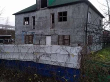 зоогостиница Зверополис в Калининграде