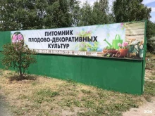 питомник гортензий Good sad в Тюмени