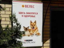 Ветеринарные клиники Астрахань Велес в Астрахани