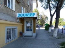 Зоомир, Таращанцев, 3 